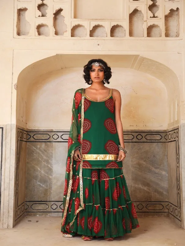 Shinaz Green Printed Embroidered Georgette Sharara Set (Set of 3)